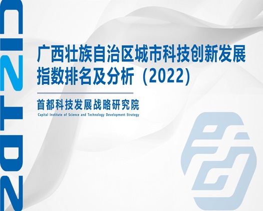 黄色逼视频【成果发布】广西壮族自治区城市科技创新发展指数排名及分析（2022）